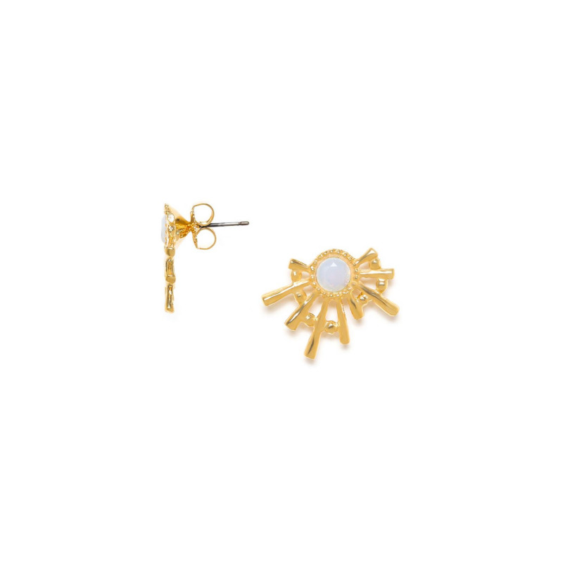 Boucles d'oreilles puces Franck Herval