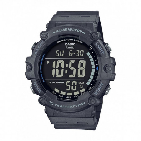 Montre Casio Timeless grise.