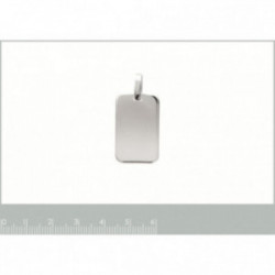 Médaille plaque argent