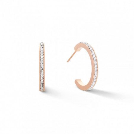 Boucles d'oreille créoles Coeur de Lion
