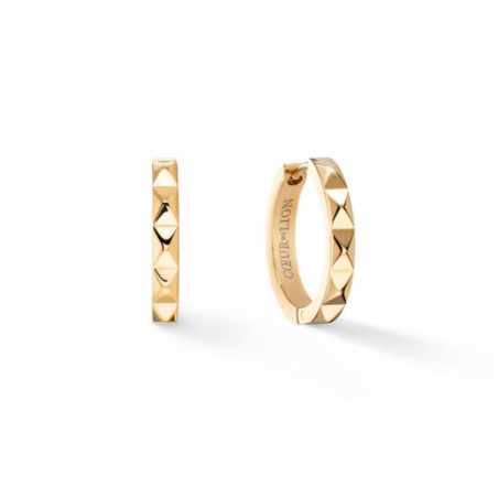 Créoles acier doré Coeur de Lion