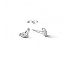 Puces argent et oxydes.