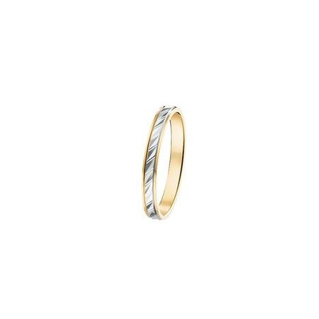 Alliance fantaisie 2 ors