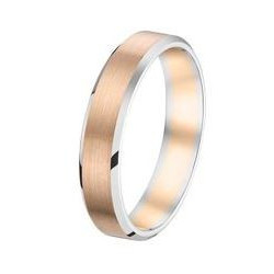 Alliance homme 2 ors